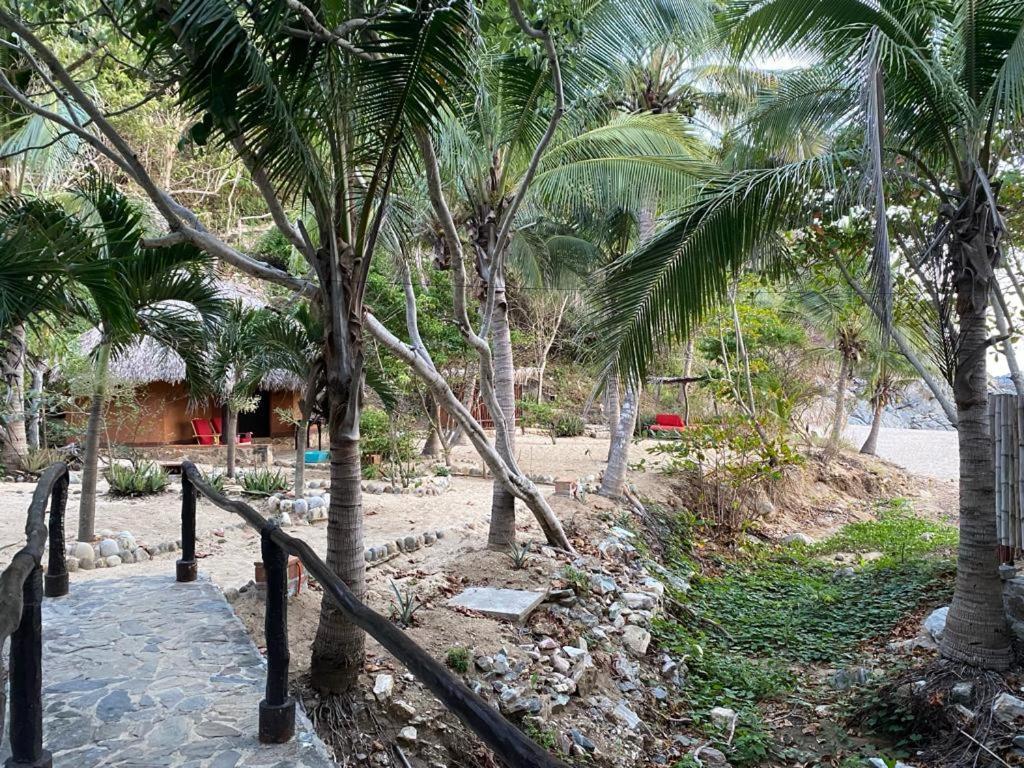 Hotel Bahia De La Luna อาโรโย ครูซ ภายนอก รูปภาพ